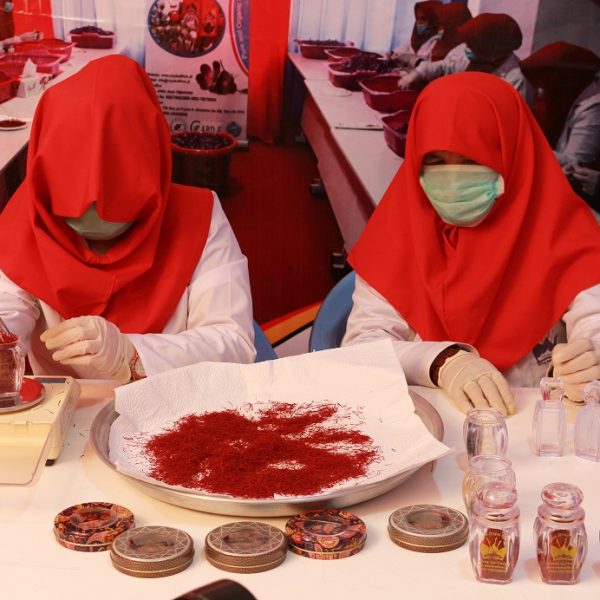 Afghan Royal Saffron (3)