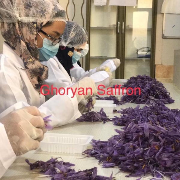 Ghoryan Saffron (4)