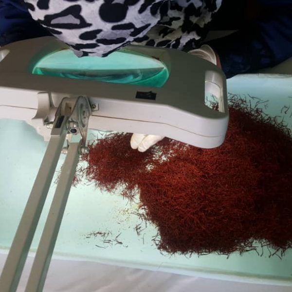 Khorshid Saffron (11)