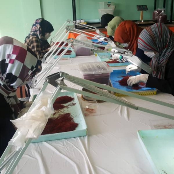 Khorshid Saffron (12)