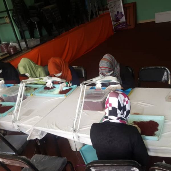 Khorshid Saffron (13)