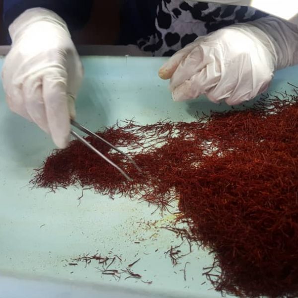 Khorshid Saffron (16)