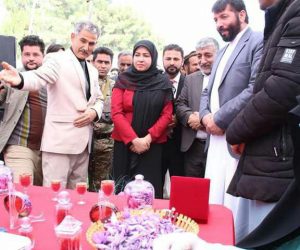 اتحادیه زعفران افغانستان (4)