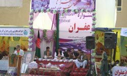 اتحادیه زعفران افغانستان (7)